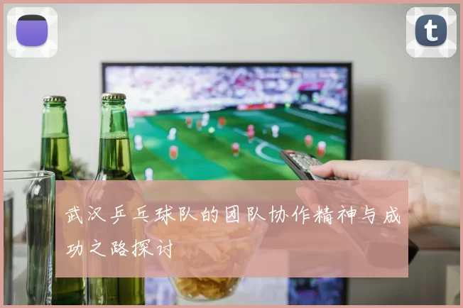 武汉乒乓球队的团队协作精神与成功之路探讨