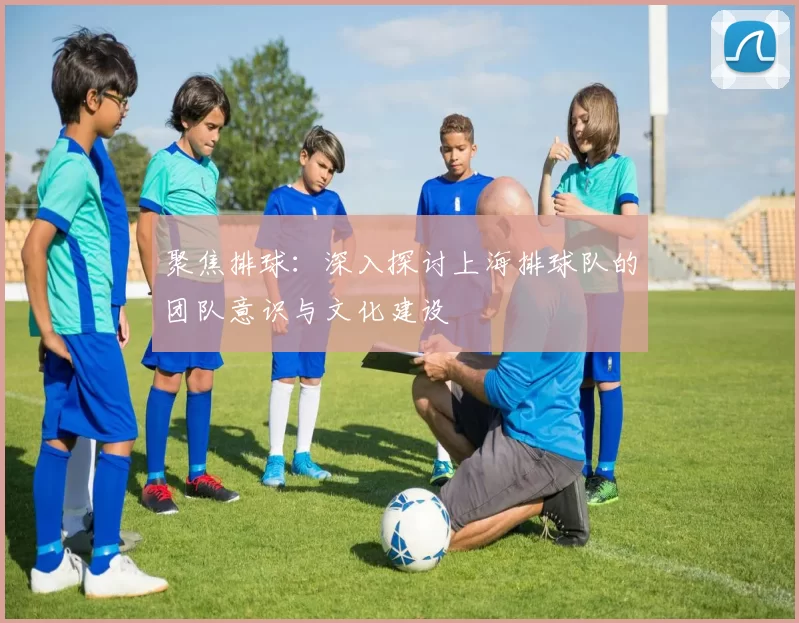 聚焦排球：深入探讨上海排球队的团队意识与文化建设