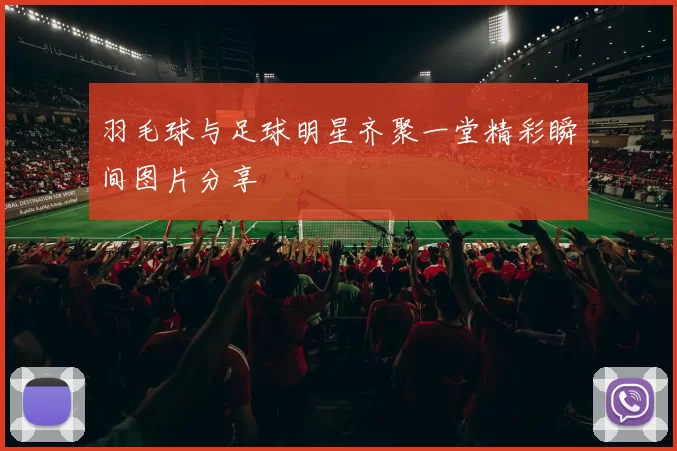 羽毛球与足球明星齐聚一堂精彩瞬间图片分享