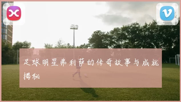 足球明星弗利萨的传奇故事与成就揭秘