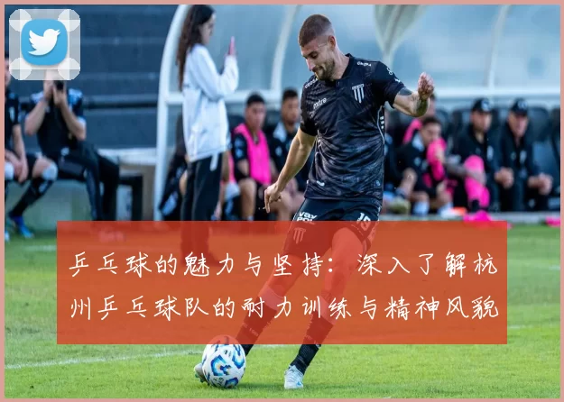 乒乓球的魅力与坚持：深入了解杭州乒乓球队的耐力训练与精神风貌