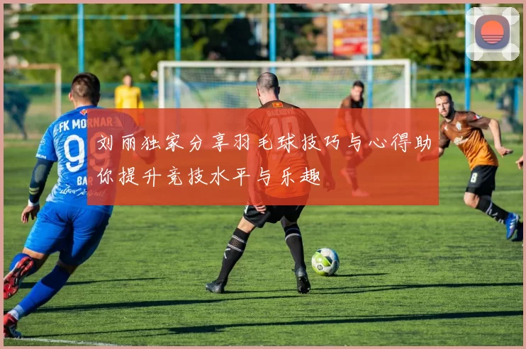 刘丽独家分享羽毛球技巧与心得助你提升竞技水平与乐趣