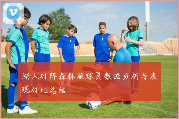 湖人对阵森林狼球员数据分析与表现对比总结
