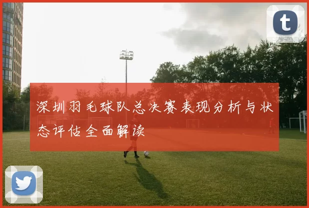 深圳羽毛球队总决赛表现分析与状态评估全面解读