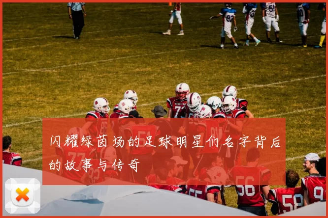 闪耀绿茵场的足球明星们名字背后的故事与传奇