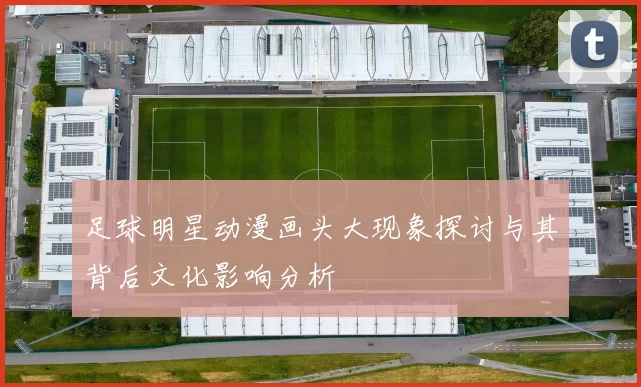 足球明星动漫画头大现象探讨与其背后文化影响分析