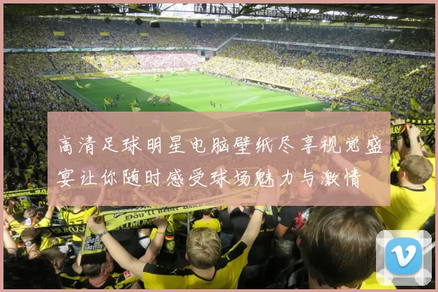 高清足球明星电脑壁纸尽享视觉盛宴让你随时感受球场魅力与激情