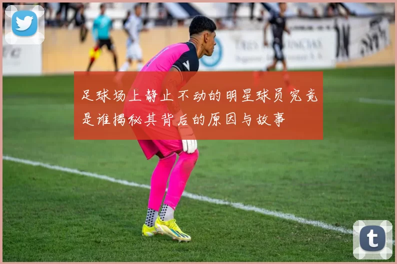 足球场上静止不动的明星球员究竟是谁揭秘其背后的原因与故事