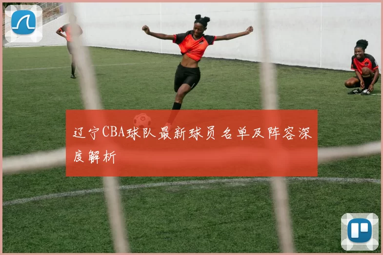 辽宁CBA球队最新球员名单及阵容深度解析