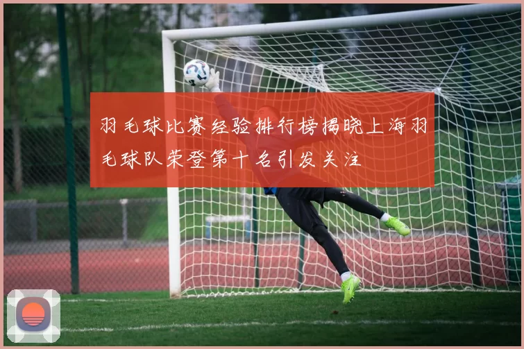 羽毛球比赛经验排行榜揭晓上海羽毛球队荣登第十名引发关注