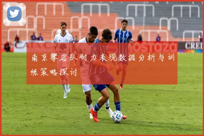 南京攀岩队耐力表现数据分析与训练策略探讨