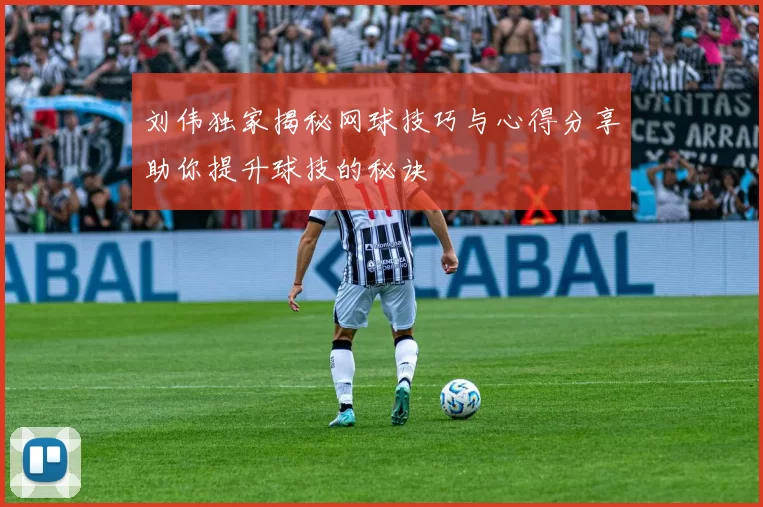 刘伟独家揭秘网球技巧与心得分享助你提升球技的秘诀