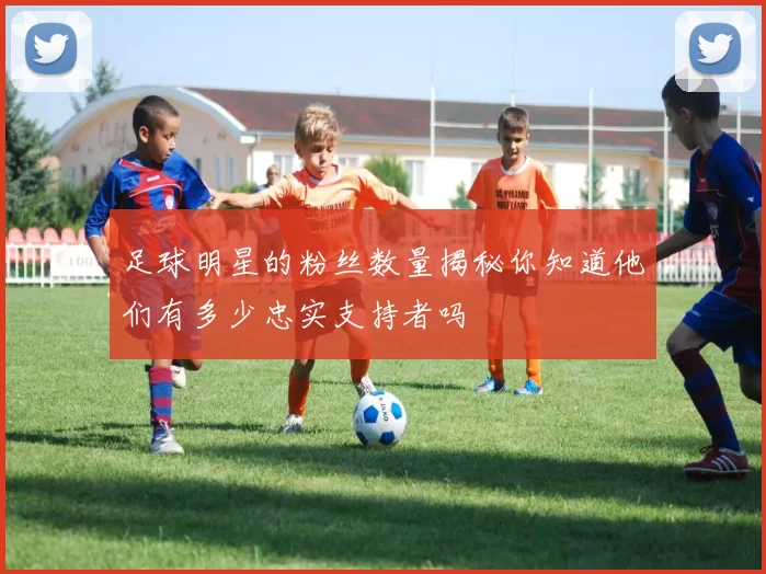 足球明星的粉丝数量揭秘你知道他们有多少忠实支持者吗