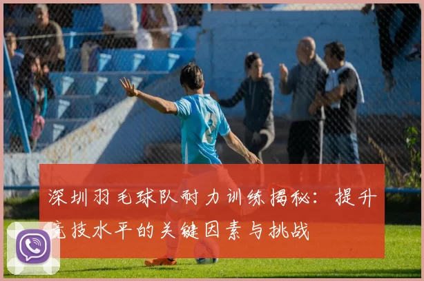 深圳羽毛球队耐力训练揭秘：提升竞技水平的关键因素与挑战