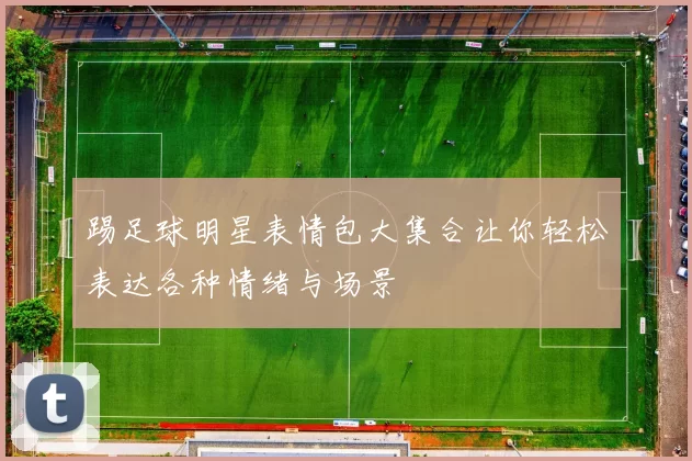 踢足球明星表情包大集合让你轻松表达各种情绪与场景