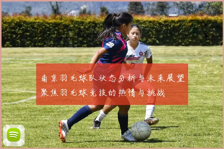 南京羽毛球队状态分析与未来展望聚焦羽毛球竞技的热情与挑战