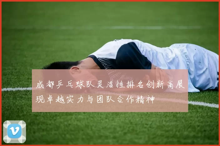 成都乒乓球队灵活性排名创新高展现卓越实力与团队合作精神