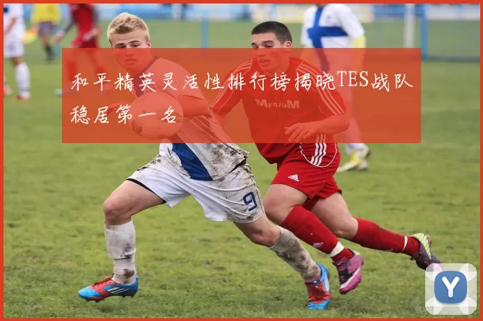 和平精英灵活性排行榜揭晓TES战队稳居第一名