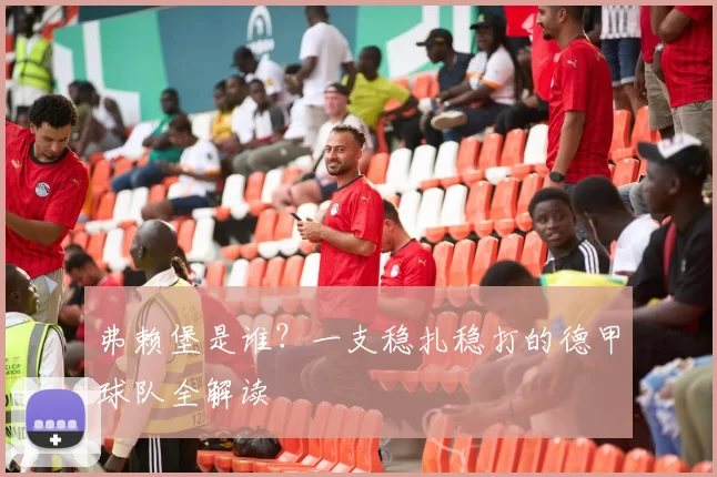 弗赖堡是谁？一支稳扎稳打的德甲球队全解读