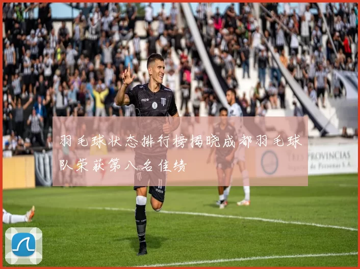 羽毛球状态排行榜揭晓成都羽毛球队荣获第八名佳绩